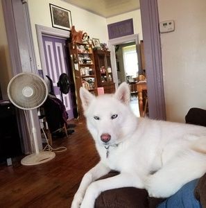 Meet your Posher, Robert